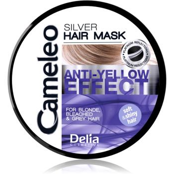 Delia Cosmetics Cameleo Silver haj maszk semlegesíti a sárgás tónusokat 200 ml