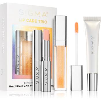 Sigma Beauty Lip Care Trio kozmetika szett (az ajkakra)