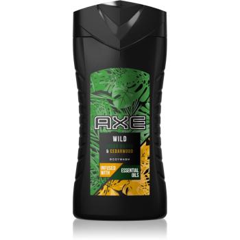 Axe Wild Green Mojito & Cedarwood fürdőgél férfiaknak 250 ml