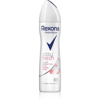 Rexona Stay Fresh White Flowers & Lychee izzadásgátló spray 48h 150 ml