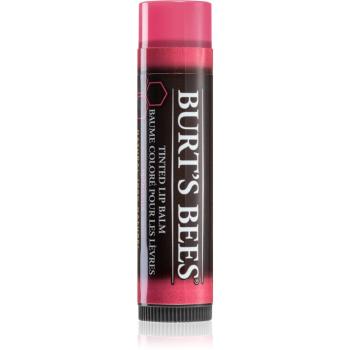 Burt’s Bees Tinted Lip Balm ajakbalzsam árnyalat Hibiscus 4.25 g