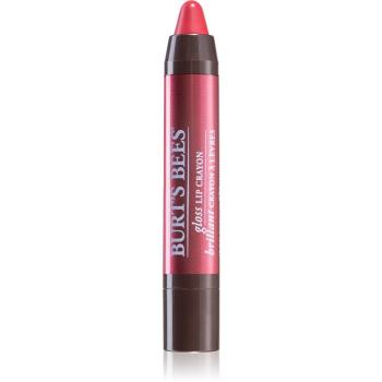 Burt’s Bees Glossy Lip Crayon magas fényű rúzs ceruzában árnyalat Tahitian Sunset 2.83 g
