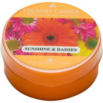 Country Candle Sunshine & Daisies teamécses 42 g
