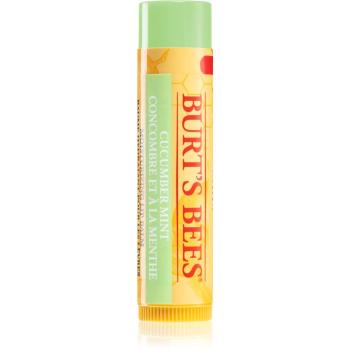 Burt’s Bees Lip Care ajakbalzsam (with Cucumber & Mint) 4.25 g