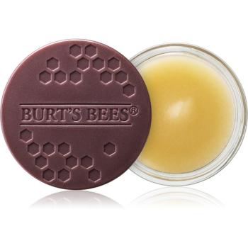 Burt’s Bees Lip Treatment intenzív éjszakai ápolás az ajkakra 7.08 g