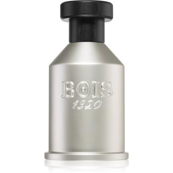Bois 1920 Dolce di Giorno Eau de Parfum unisex 100 ml