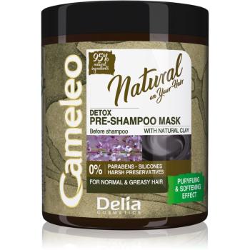 Delia Cosmetics Cameleo Natural sampon előtti ápolás hab zsíros hajra 250 ml