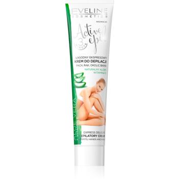 Eveline Cosmetics Active Epil szőrtelenítő krém a kar a hónalj és az ágyék szőrtelenítésére Aloe Vera tartalommal 125 ml