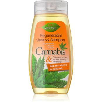 Bione Cosmetics Cannabis regeneráló sampon 260 ml
