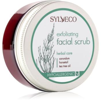 Sylveco Face Care arcpeeling pórusok kitisztításáért és a matt bőrért 75 ml