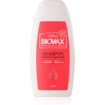 L’biotica Biovax Opuntia Oil & Mango regeneráló sampon a károsult hajra 200 ml