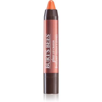 Burt’s Bees Glossy Lip Crayon magas fényű rúzs ceruzában árnyalat Santorini Sunrise 2.83 g